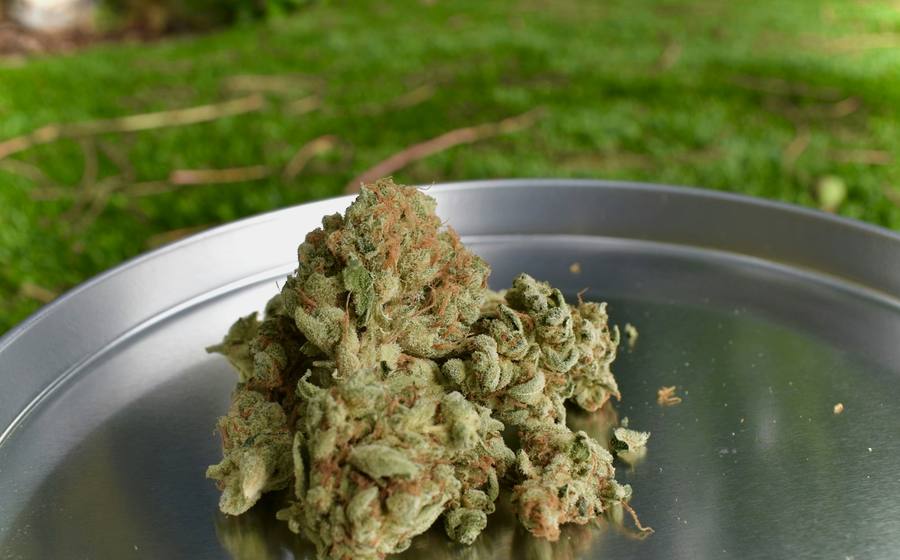 Indica Pattaya