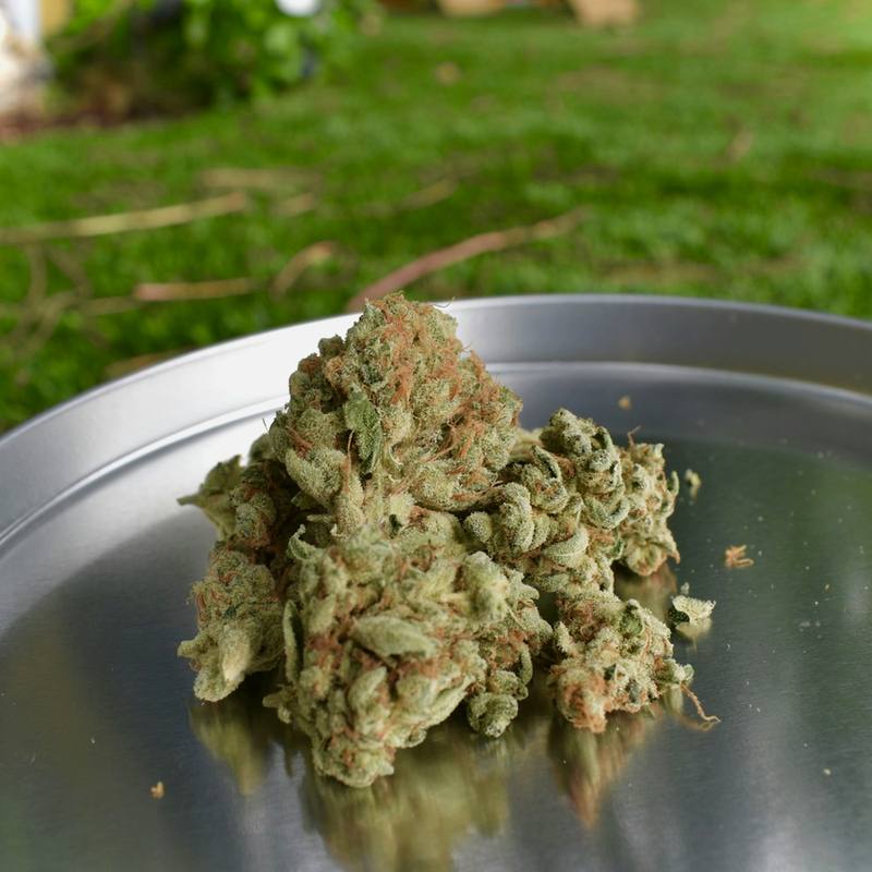 Blueberry