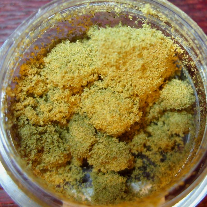 Snow Powder (USA)