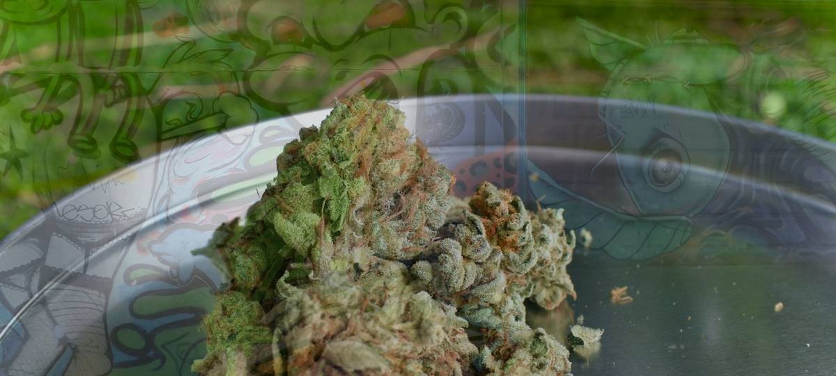 What ฿1,000 a gram includes — and what it does not