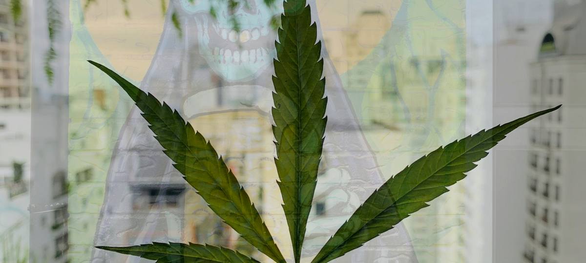 How a Buy Weed Pattaya WhatsApp order runs in 30 minutes